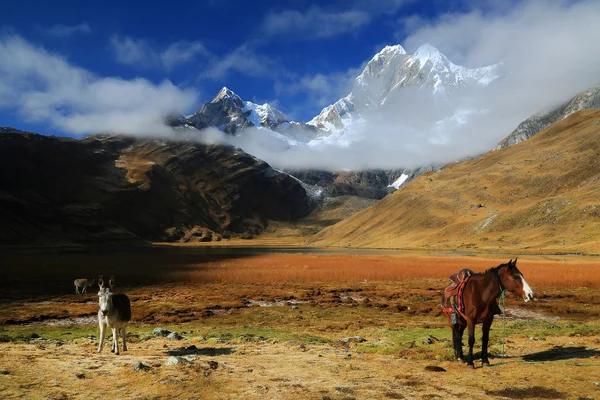 Cordiliera Huayhuash — Foto de Stock