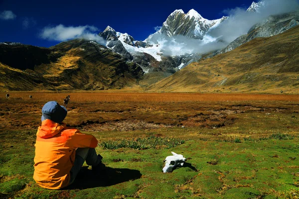 V cordiliera huayhuash — Stock fotografie