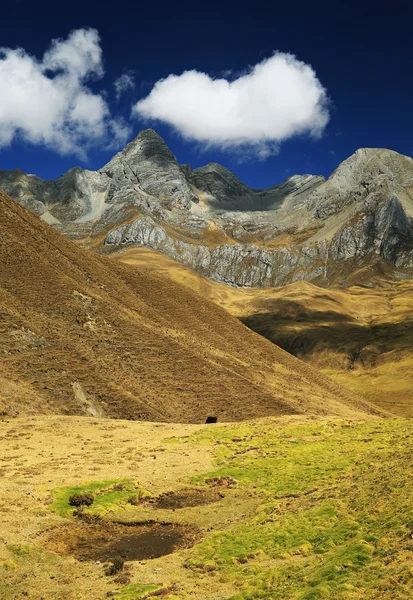 Alpine landscape in Cordiliera Huayhuash — Stock Photo, Image