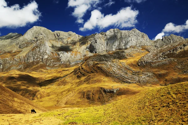 Alpská krajina v cordiliera huayhuash — Stock fotografie