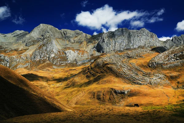 Alpská krajina v cordiliera huayhuash — Stock fotografie