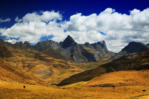 Alpine landscape in Cordiliera Huayhuash — Stock Photo, Image