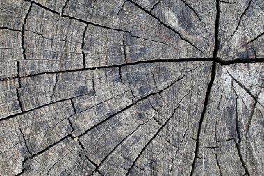 eski ahşap arka plan