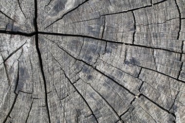 eski ahşap arka plan