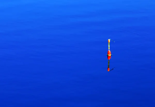 Fishing float on the blue surface of a lake — Stok fotoğraf