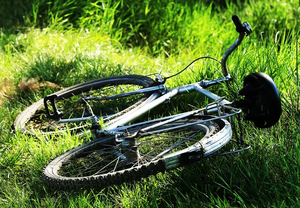 Altes Oldtimer-Fahrrad auf dem Gras - flach dof — Stockfoto