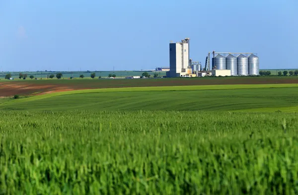 Grain warehouse — Stock Photo, Image