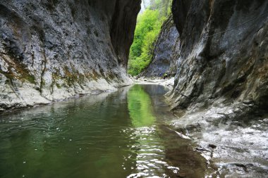 ramet gorges occidental Karpatlar içinde