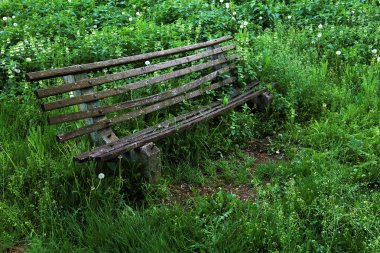 çim çevrili mezar tezgah