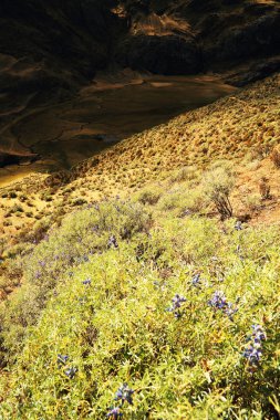 cordiliera yükseltisidir, peru