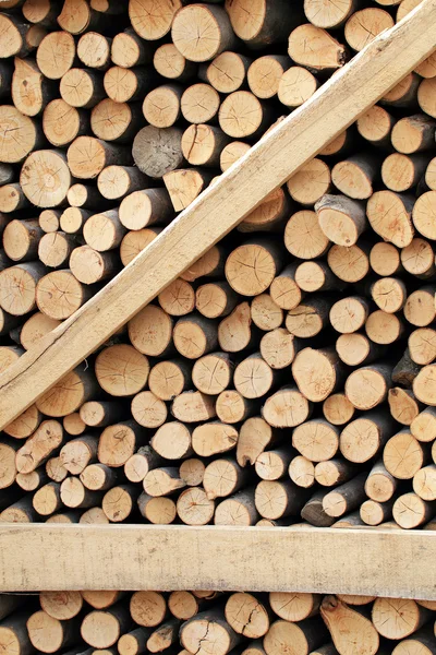 Kış için hazırlanmış odun yığını — Stok fotoğraf