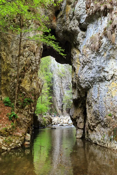 Primavera en Ramet Gorges, Transilvania, Rumania — Foto de Stock