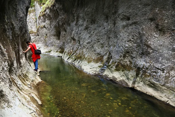 Ramet Gorges in the Occidental Carpathians — Stock Photo, Image