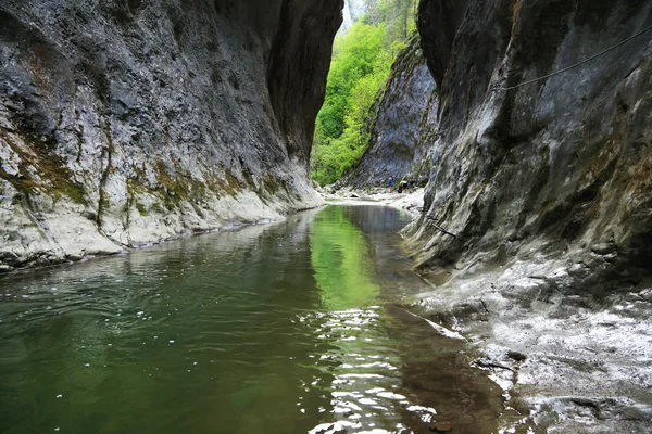 Ramet Gorges in the Occidental Carpathians — Stock Photo, Image