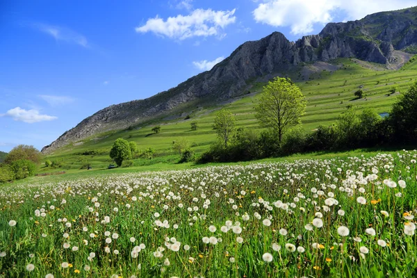 Piatra Secuiului Mountain (1129m), Transylvania, Romania, Europe — Stock Photo, Image