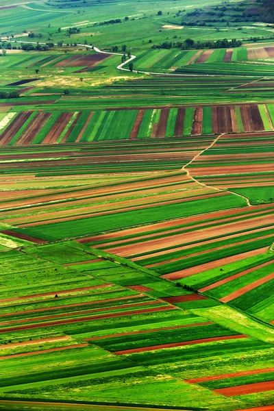 Veduta aerea astratta di un paesaggio agricolo rurale — Foto Stock