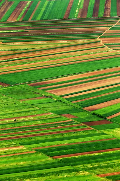 Aerial abstract view of a country agricultural landscape — Stock Photo, Image