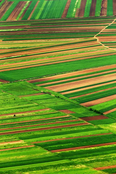 Luftaufnahme einer landwirtschaftlichen Landschaft — Stockfoto