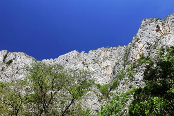 Turzii kanion w Europie Transylwanii, Rumunia, — Zdjęcie stockowe