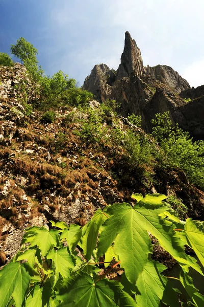 Turzii ущелини в Європі Трансільванії, Румунії, — стокове фото