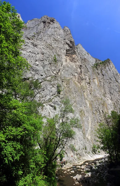 特兰西瓦尼亚，罗马尼亚，欧洲的 turzii 峡谷 — 图库照片