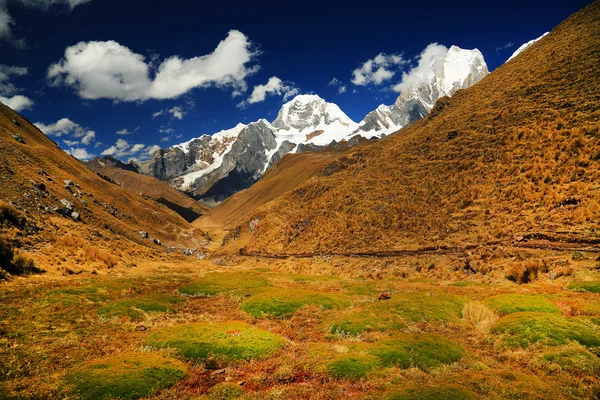 Cordiliera yükseltisidir, peru — Stok fotoğraf