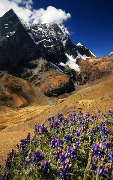 Cordiliera Huayhuash — Foto de Stock