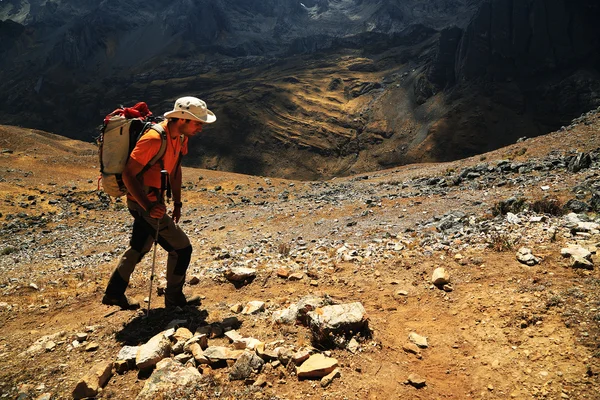 Cordiliera yükseltisidir trekking — Stok fotoğraf