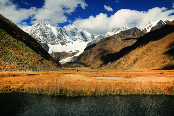 Paisaje alpino en Cordiliera Huayhuash, Perú, América del Sur — Foto de Stock