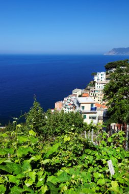 Riomaggiore Köyü, Cinque Terre, İtalya