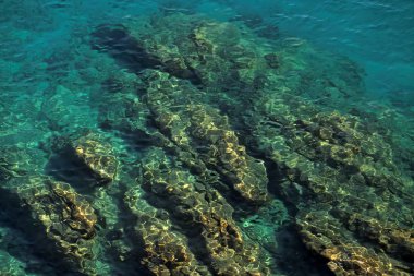 taşların altında deniz suyu.