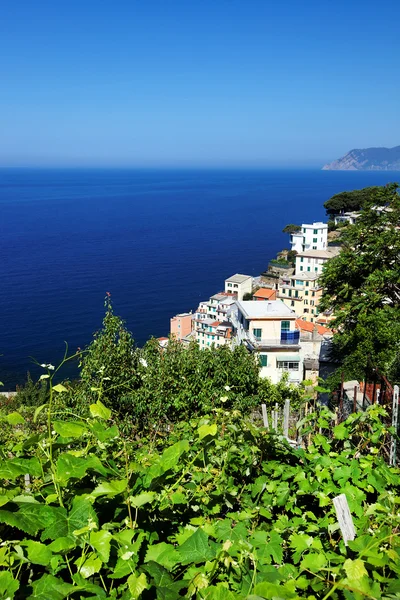 Riomaggiore paese, Cinque Terre, Italia — Foto Stock