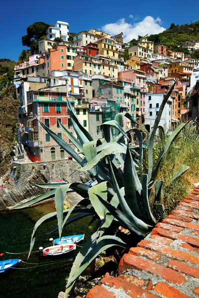 VILLAGGIO RIOMAGGIORE — Foto Stock