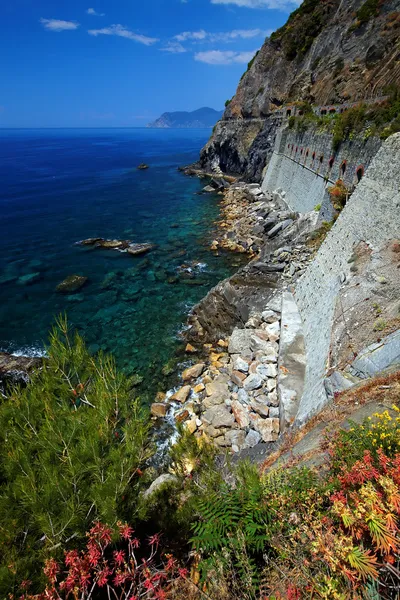 Via del Amore na costa liguriana, Cinque Terre, Itália — Fotografia de Stock