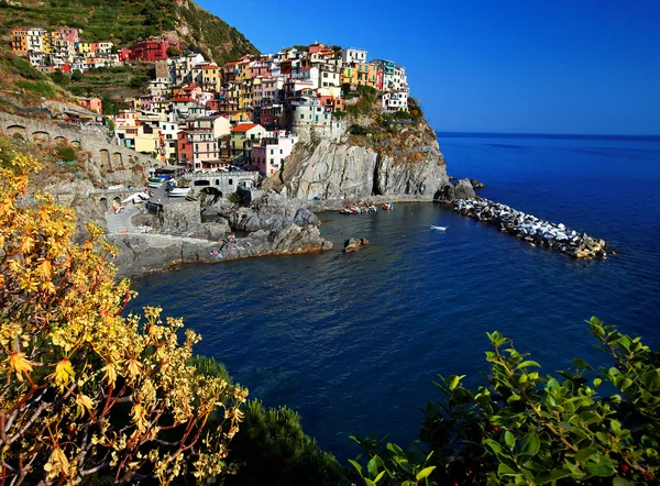 Manarola Village, Cinque Terre, Italy — Stock Photo, Image