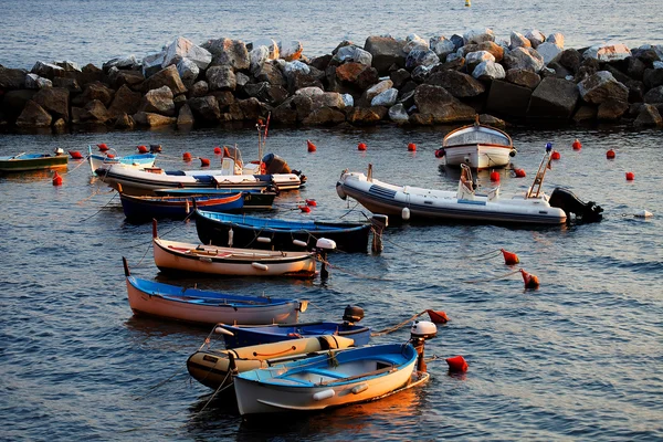 Sunset light in Riomaggiore Harbor — Stock Photo, Image