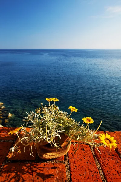 Monterosso al mare, cinque terre, Włochy, Europa — Zdjęcie stockowe