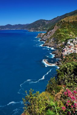 via del amore ve manarola köyünün havadan görünümü