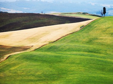 Tipik Toskana manzarası manzarası, İtalya