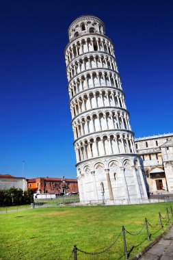 Piazza dei miracoli, Bazilika ve leaning tower, pisa, İtalya