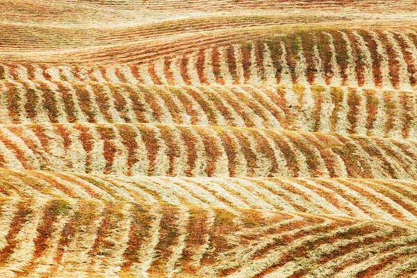 Vista panorámica abstracta del paisaje típico de la Toscana, Italia — Foto de Stock