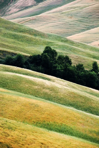 Landschappelijk uitzicht op het typische Toscaanse landschap, Italië — Stockfoto