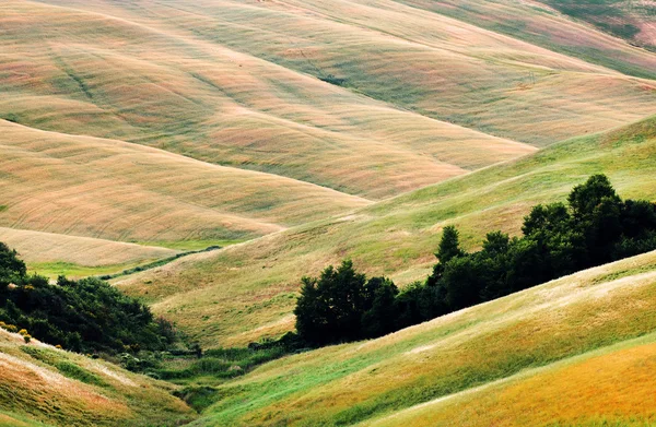Vista panoramica del tipico paesaggio toscano, Italia — Foto Stock