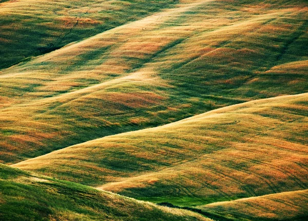 Landschappelijk uitzicht op het typische Toscaanse landschap, Italië — Stockfoto