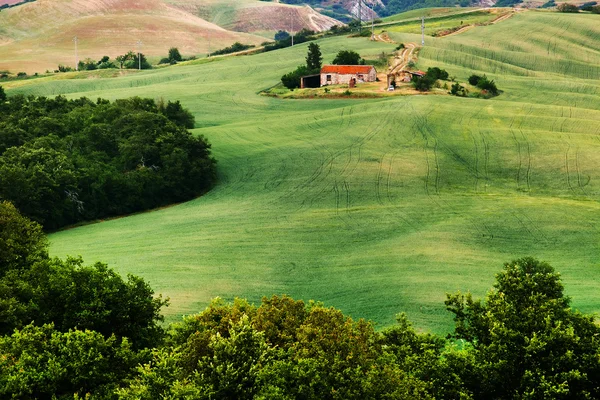 Tipik Toskana manzarası manzarası, İtalya — Stok fotoğraf