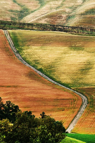 意大利托斯卡纳的典型风景景观 — 图库照片