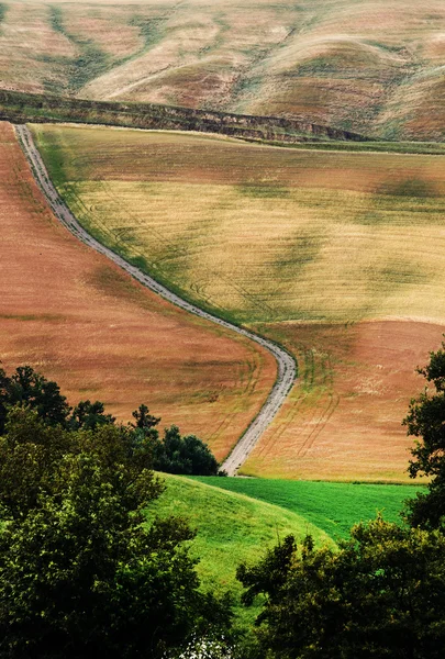 Szenische Ansicht der typischen Landschaft der Toskana, Italien — Stockfoto