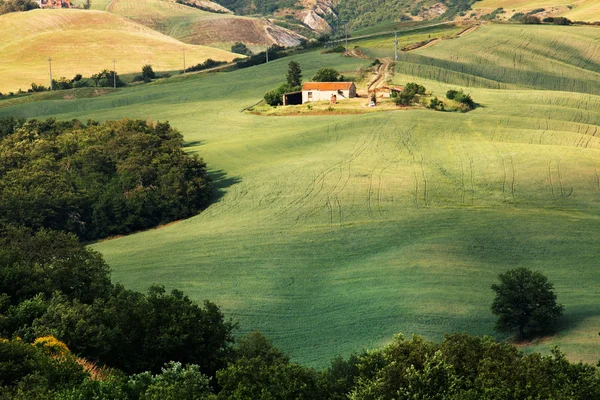 Widok na typowy krajobraz Toskanii, Włochy — Zdjęcie stockowe