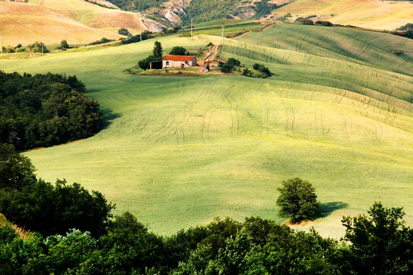 Landschappelijk uitzicht op het typische Toscaanse landschap, Italië — Stockfoto