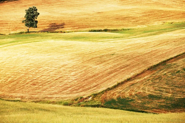 Scénický pohled na typickou toskánskou krajinu, Itálie — Stock fotografie